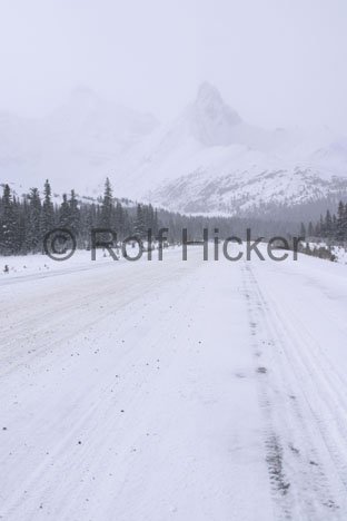 Alaska Highway Reisebild Schnee