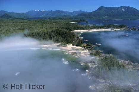Clayoquot Sound Nebel