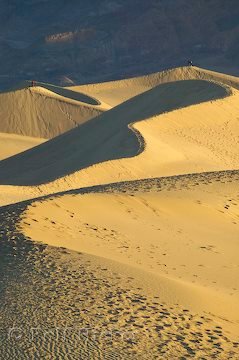 Sandduenen Im Death Valley