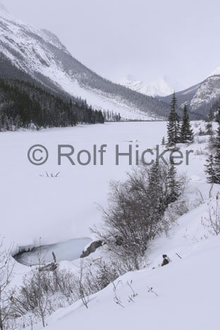 Winterbild Schnee Kanada Jasper