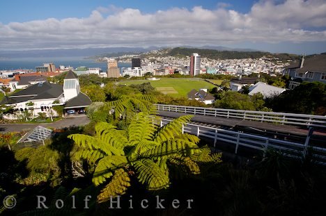 Aussichtspunkt Wellington Hafen Neuseeland