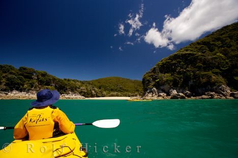 Bucht Kajak Neuseeland Bild