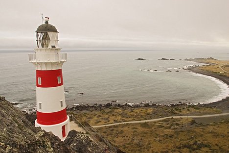 Cape Palliser Leuchtturm