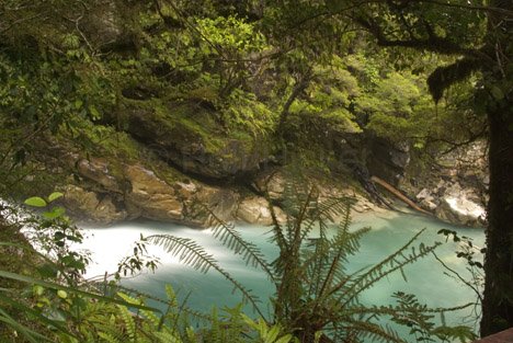 Falls Creeks Fiordland Nationalpark