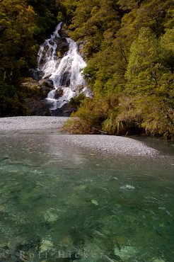 Fantail Falls Wasserfall Regenwald Nationalpark Neuseeland