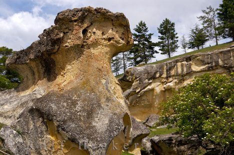 Felsen Neuseeland Sehenswuerdigkeit Otago