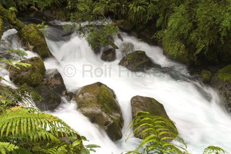 Flusslauf Neuseeland Fiordland Nationalparks