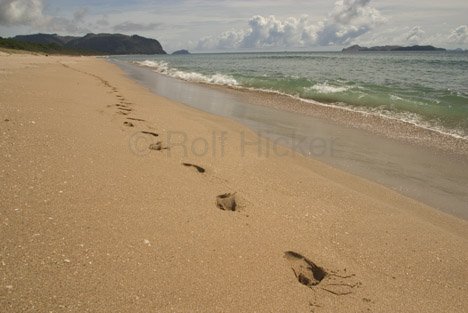 Fussspuren Im Sand Neuseeland