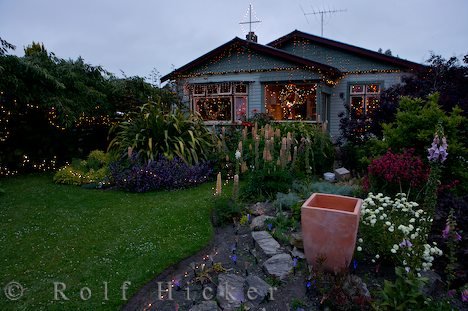 Garten Weihnachten Feierlich Neuseeland