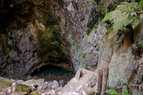 Hoehle Mit Pool Ruatapu Cave Neuseeland