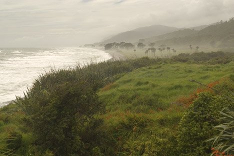 Landschaftsfotografie Neuseeland KÃ¼ste Stimmungsbild