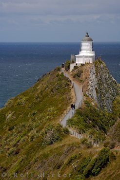 Weg Zum Nugget Point Lighthouse
