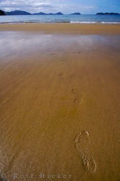 Spuren Im Sand Meer Spaziergang Titirangi Bay
