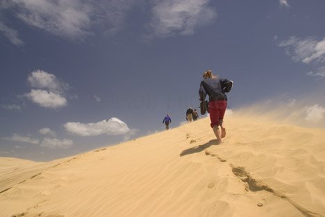 Spuren Im Sand Duenen