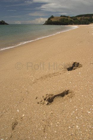 Straende Neuseeland Spuren Opoutere Beach