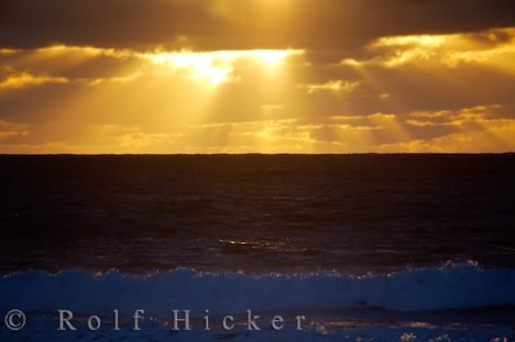 Kap Egmont Strand Sonnenuntergang Neuseeland