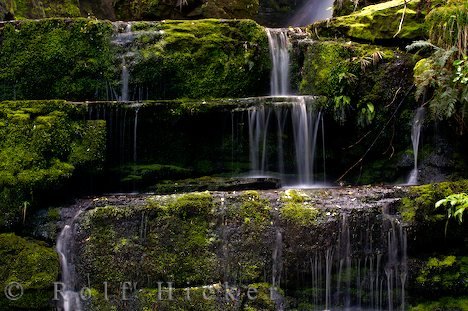Wege Wasser Moos McLean Falls