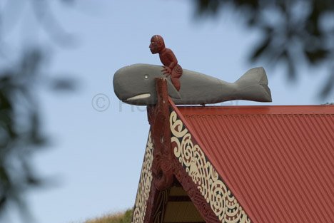 Whale Rider Maori Neuseeland