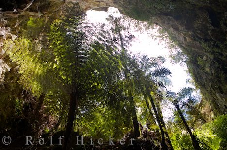Ruatapu Cave Reisefotografie Neuseeland