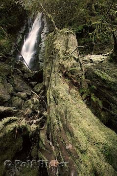Wasserfall Washington