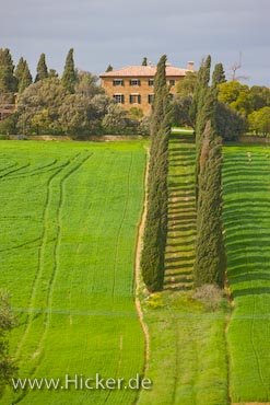 Toskanische Villa Und Landschaft Provinz Siena Italien