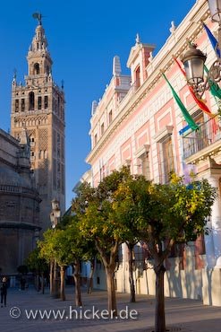 La Giralda Und Casa De La Provincia Sevilla Spanien