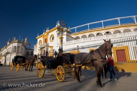 Pferdekutschen Rundfahrt Sevilla Spanien