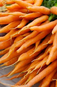 Frische Karotten Markt Fredericton