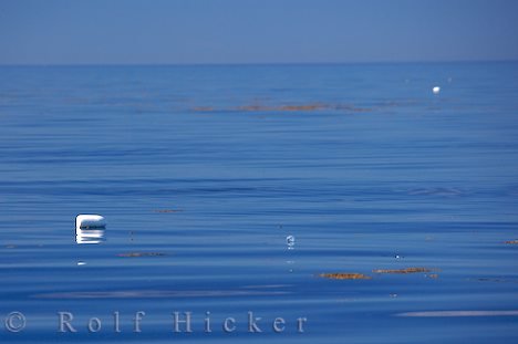 Verschmutzung Der Meere Bay of Fundy