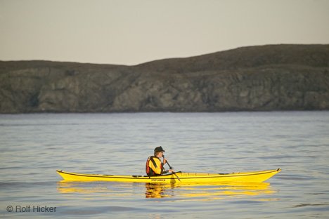 Auftauchen Wal Kajak Küste Neufundland