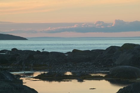 Neufundland Bild Sonnenuntergang Am Meer
