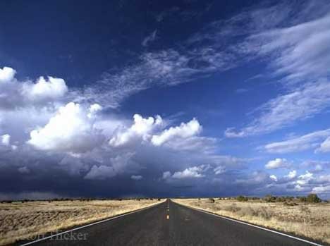 New Mexico Roadmovies