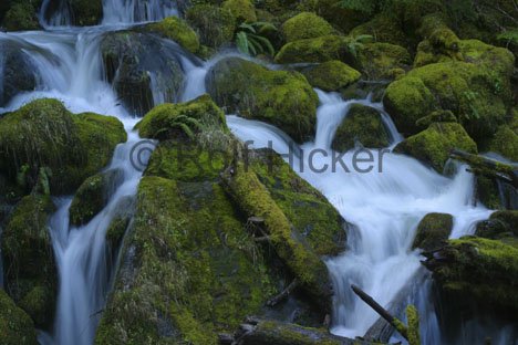 Wasserfall Oregon