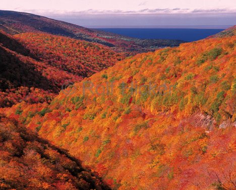Herbstbild Cabot Trail