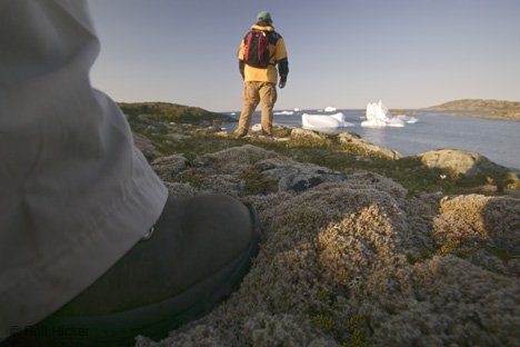 Wandern In Neufundland Eisberge