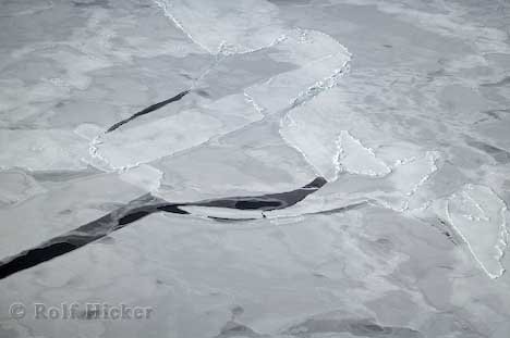 Arktisches Eis Eisschollen Salzwasser Kanada