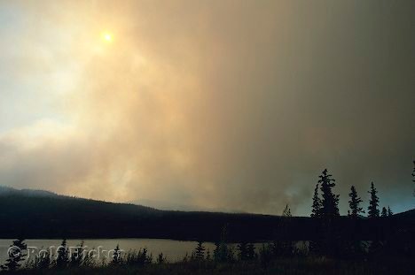 Waldbrand Yukon Dichte Rauchwolken
